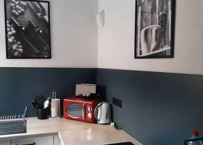 Appartement Hugo Et Compagnie Colmar